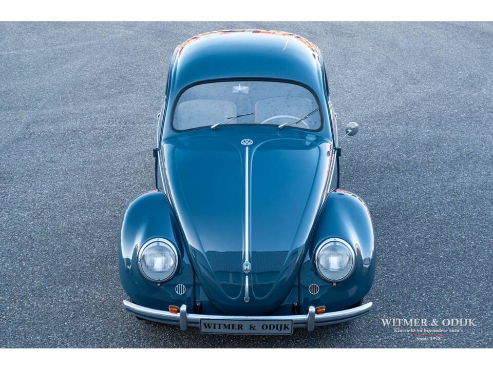 Bild 10/29 von Volkswagen Käfer 1100 Export (Brezel) (1951)