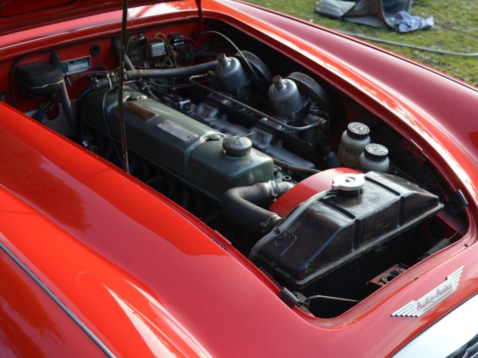 Image 16/20 of Austin-Healey 100&#x2F;6 (BN6) (1958)