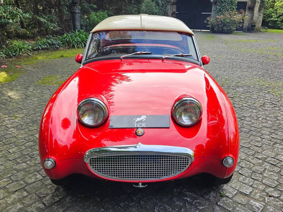 Image 11/11 of Austin-Healey Sprite Mk I (1961)