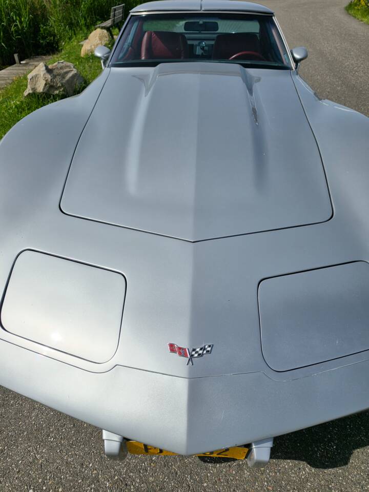 Bild 13/37 von Chevrolet Corvette 5.0L (1979)