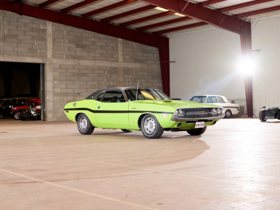 Immagine 18/71 di Dodge Challenger R/T (1970)