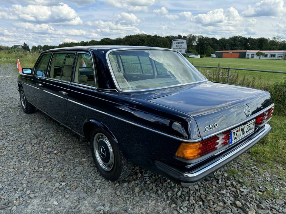 Afbeelding 6/24 van Mercedes-Benz 250 lang (1980)