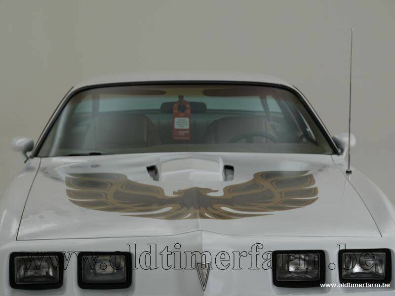 Image 10/15 of Pontiac Firebird Turbo TransAm (1981)