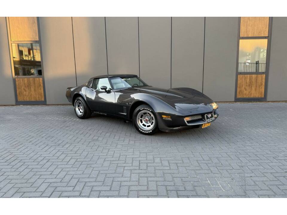 Bild 1/14 von Chevrolet Corvette Sting Ray (1981)