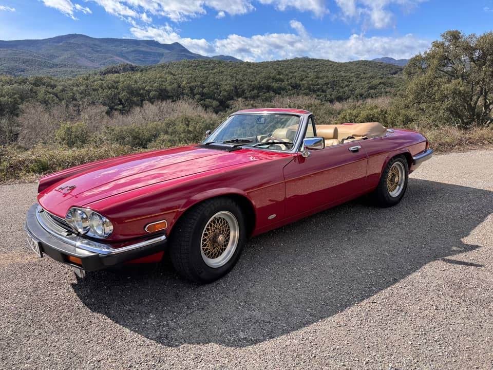 Bild 44/62 von Jaguar XJ-S Convertible (1988)