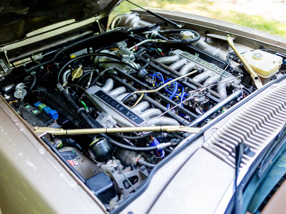 Afbeelding 5/50 van Jaguar XJS 6.0 V12 (1992)