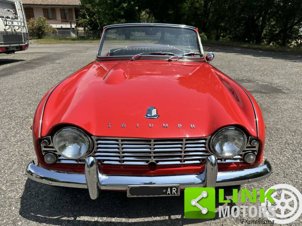 Immagine 7/10 di Triumph TR 4 (1965)