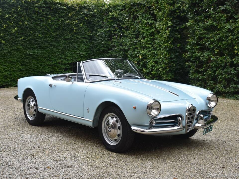 Immagine 10/38 di Alfa Romeo Giulietta Spider Veloce (1961)