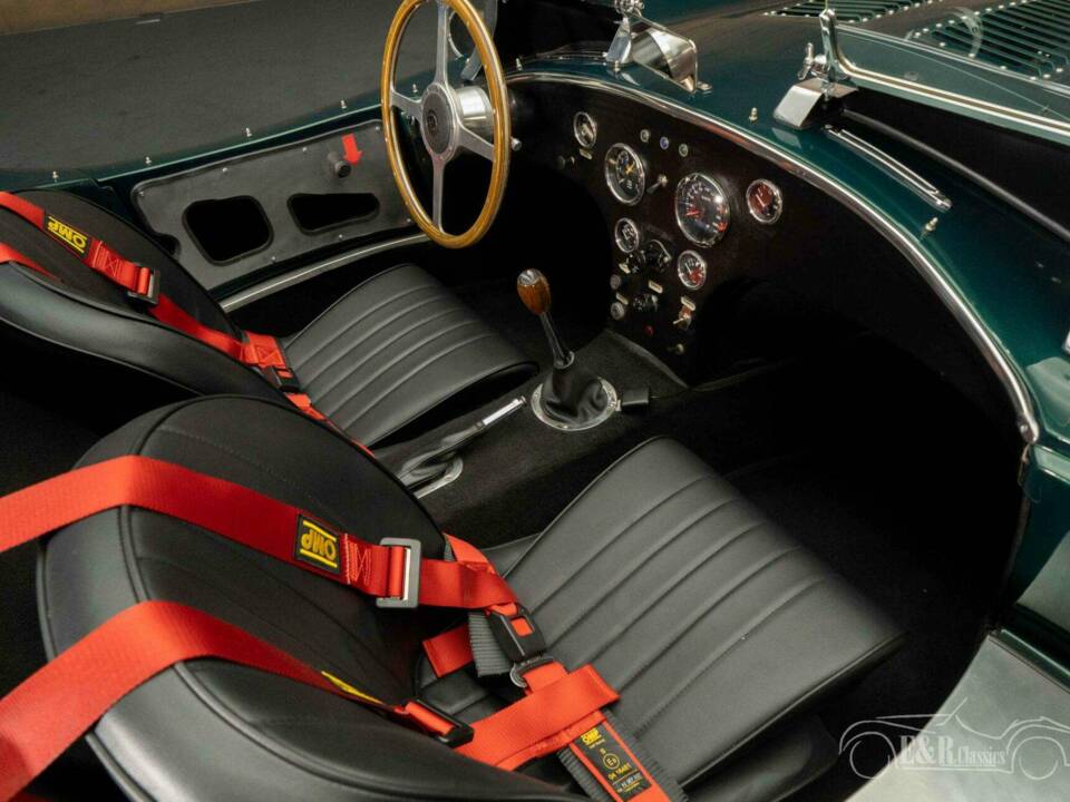 Bild 15/19 von Suffolk C-Type Jaguar (1951)