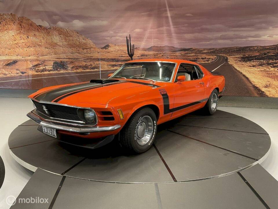 Image 6/34 of Ford Mustang Boss 302 (1970)