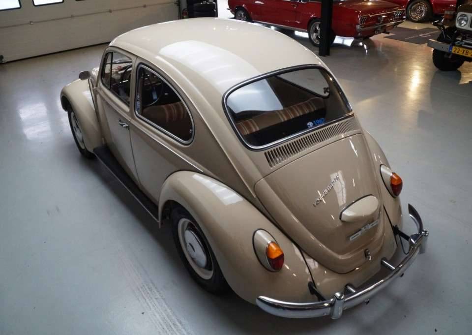 Immagine 46/50 di Volkswagen Beetle 1200 (1967)