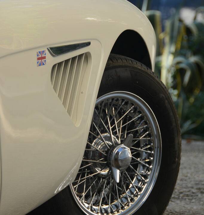 Immagine 7/8 di Austin-Healey 3000 Mk III (BJ8) (1967)