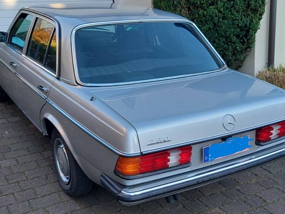 Image 7/16 of Mercedes-Benz 250 (1980)