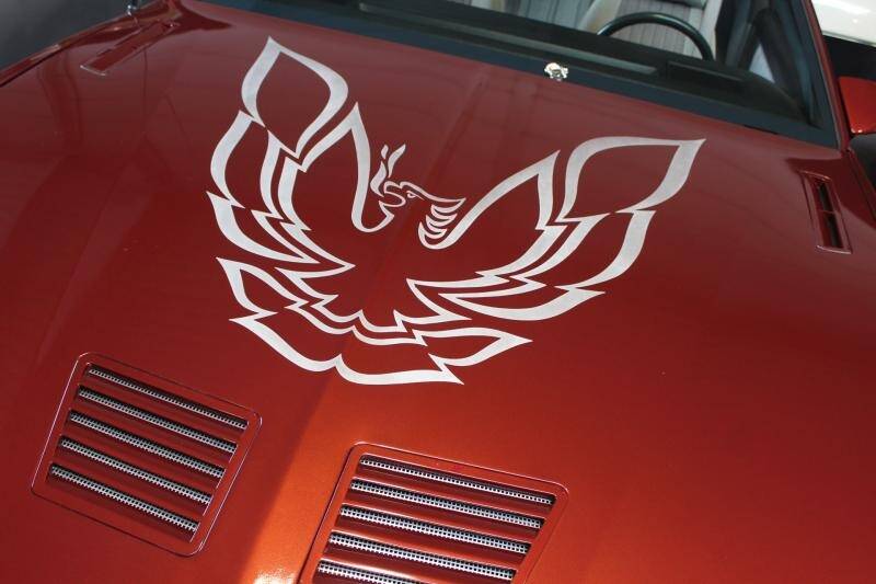 Image 9/12 of Pontiac Firebird TransAm (1986)