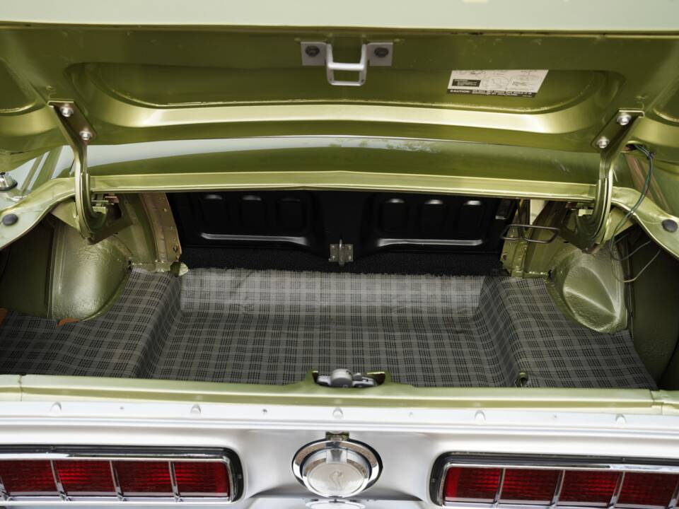 Afbeelding 26/50 van Ford Shelby GT 350 (1968)
