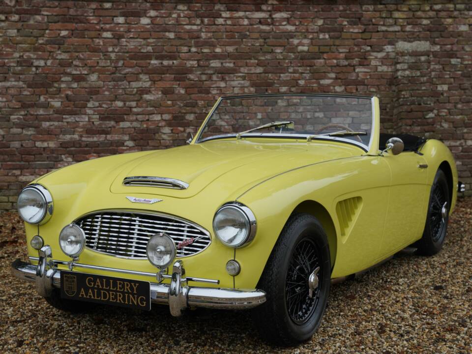 Bild 1/50 von Austin-Healey 3000 Mk I (BN7) (1960)