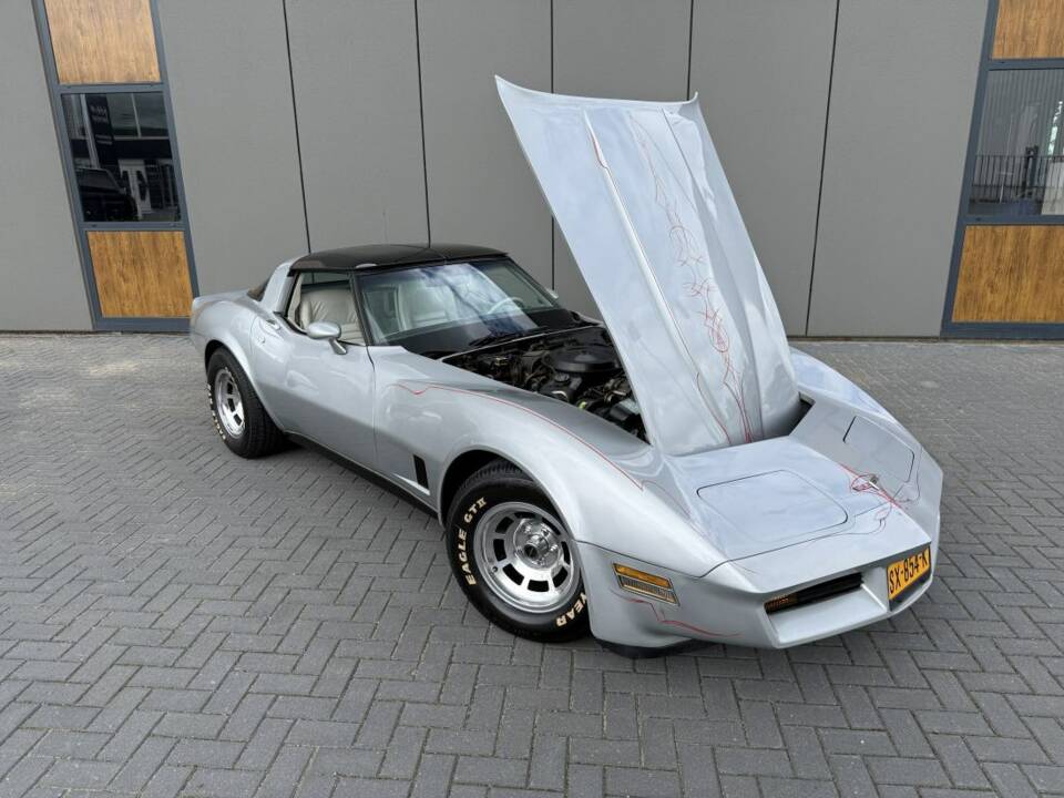 Immagine 7/18 di Chevrolet Corvette Sting Ray (1980)
