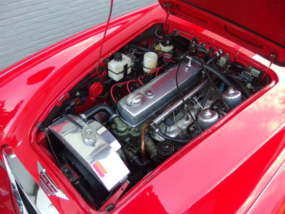 Bild 74/100 von Austin-Healey 3000 Mk III (BJ8) (1964)