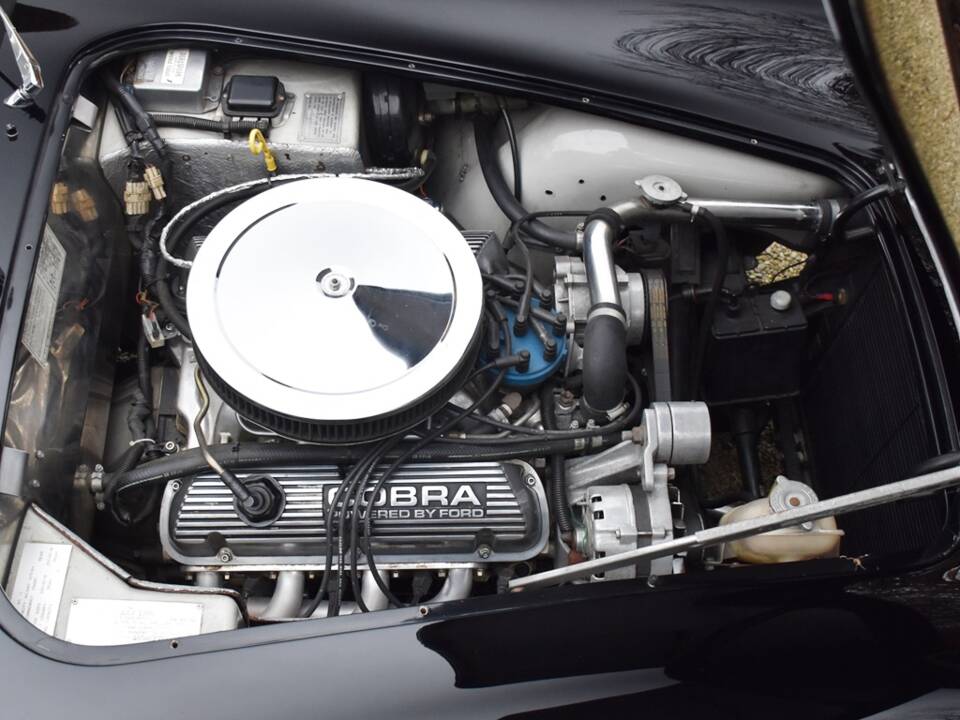 Immagine 34/34 di AC Cobra Mk IV (1985)