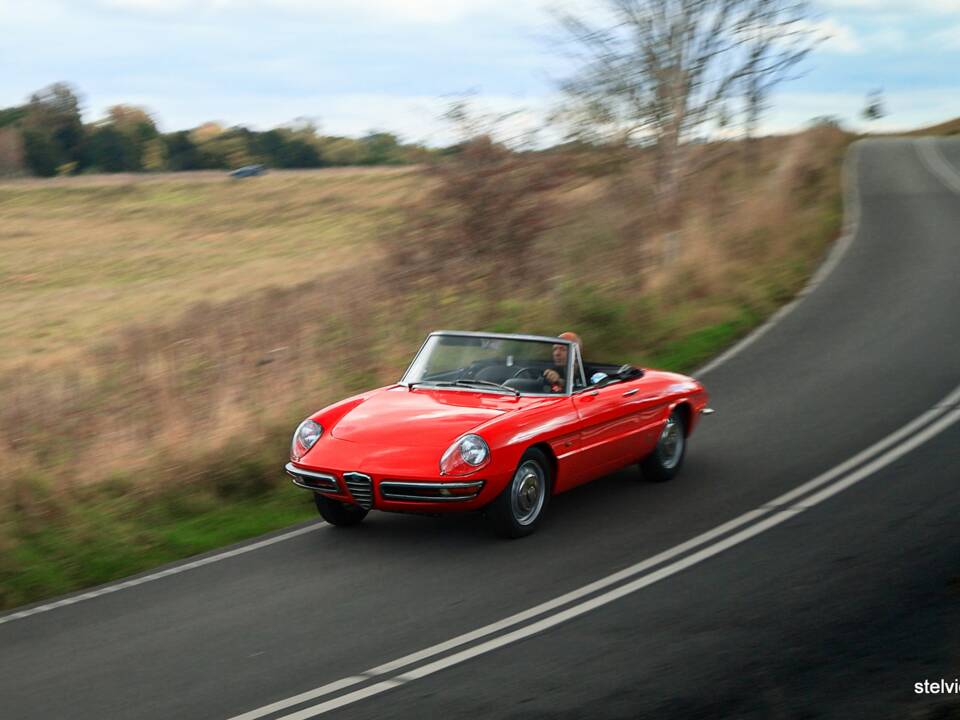 Afbeelding 40/50 van Alfa Romeo 1600 Spider Duetto (1967)
