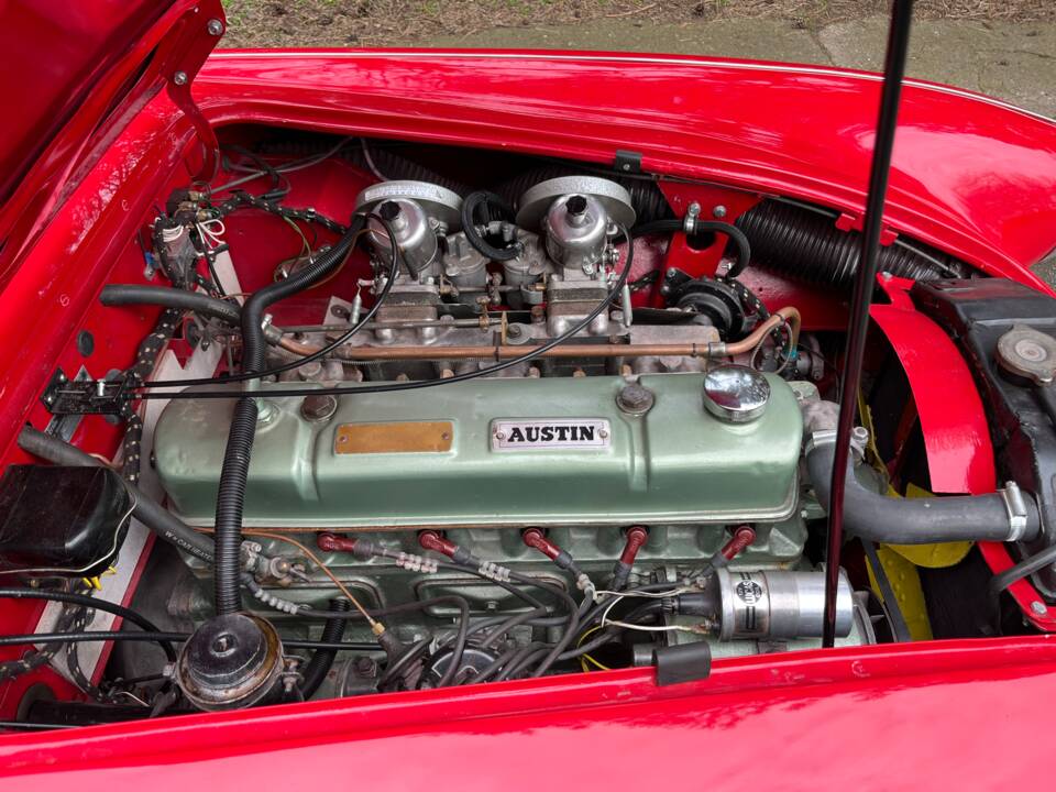 Imagen 11/21 de Austin-Healey 3000 Mk II (BN7) (1962)