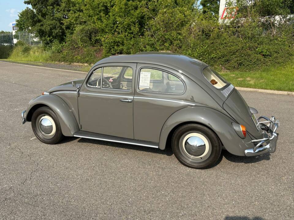 Imagen 14/48 de Volkswagen Coccinelle 1200 Export &quot;Dickholmer&quot; (1963)