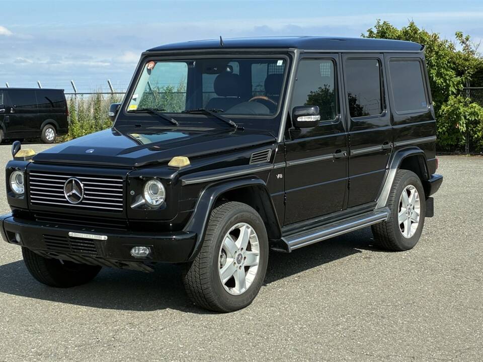 Bild 1/63 von Mercedes-Benz G 500 (lang) (2009)