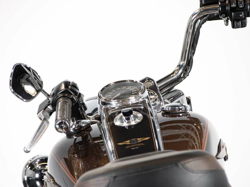 Bild 23/50 von Harley-Davidson DUMMY (2013)