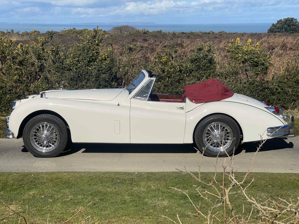Bild 4/12 von Jaguar XK 140 SE DHC (1955)
