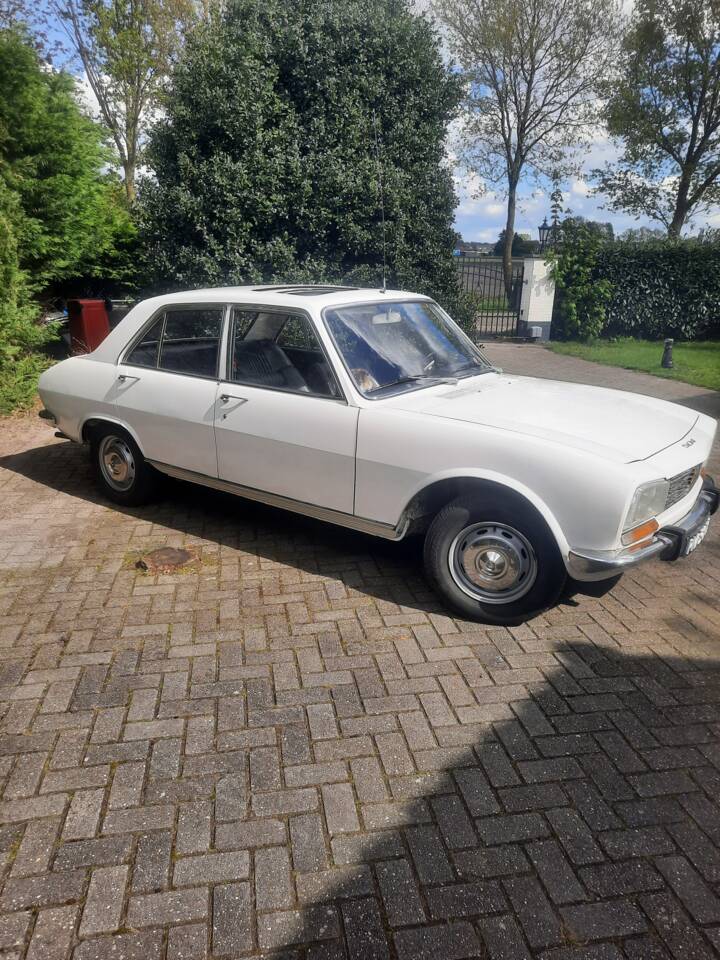 Imagen 3/25 de Peugeot 504 (1971)