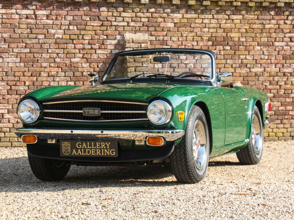 Immagine 8/50 di Triumph TR 6 (1976)