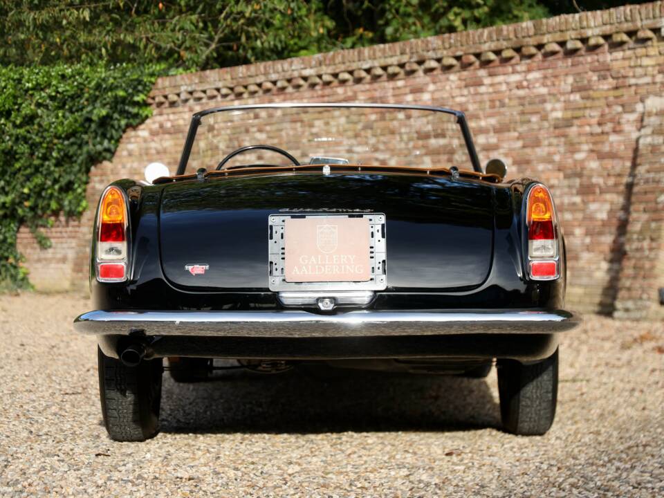 Bild 38/50 von Alfa Romeo 2000 Spider (1961)