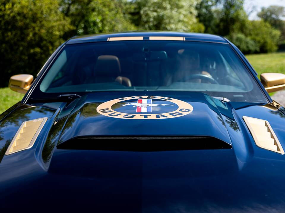 Image 21/50 of Ford Mustang V6 (2009)