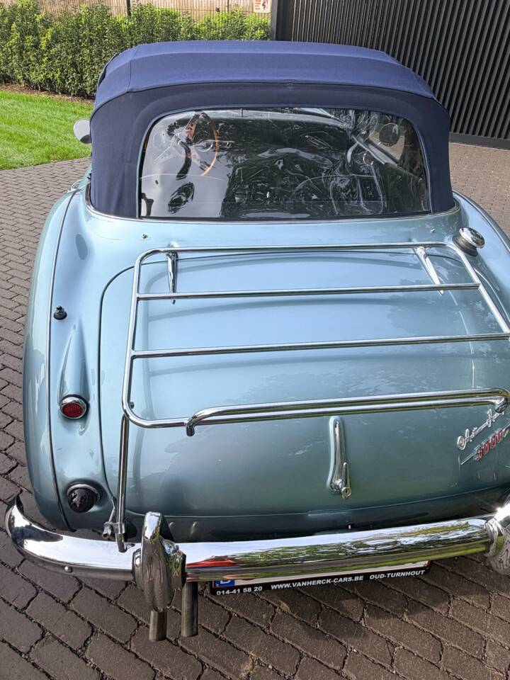 Afbeelding 6/21 van Austin-Healey 3000 Mk II (BJ7) (1963)