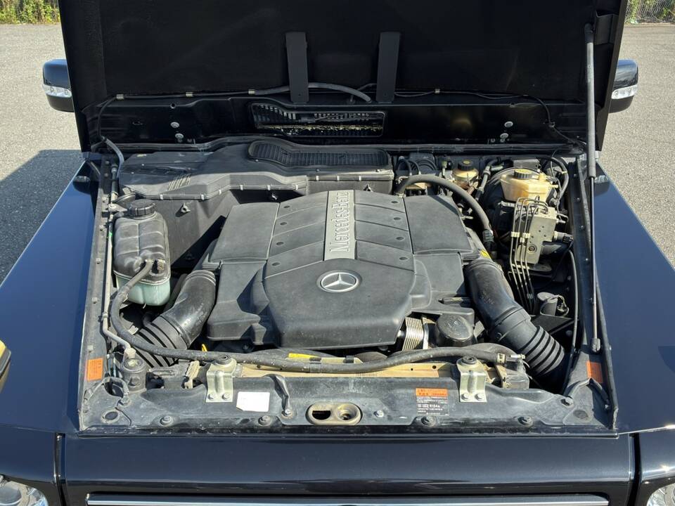 Bild 56/63 von Mercedes-Benz G 500 (lang) (2009)
