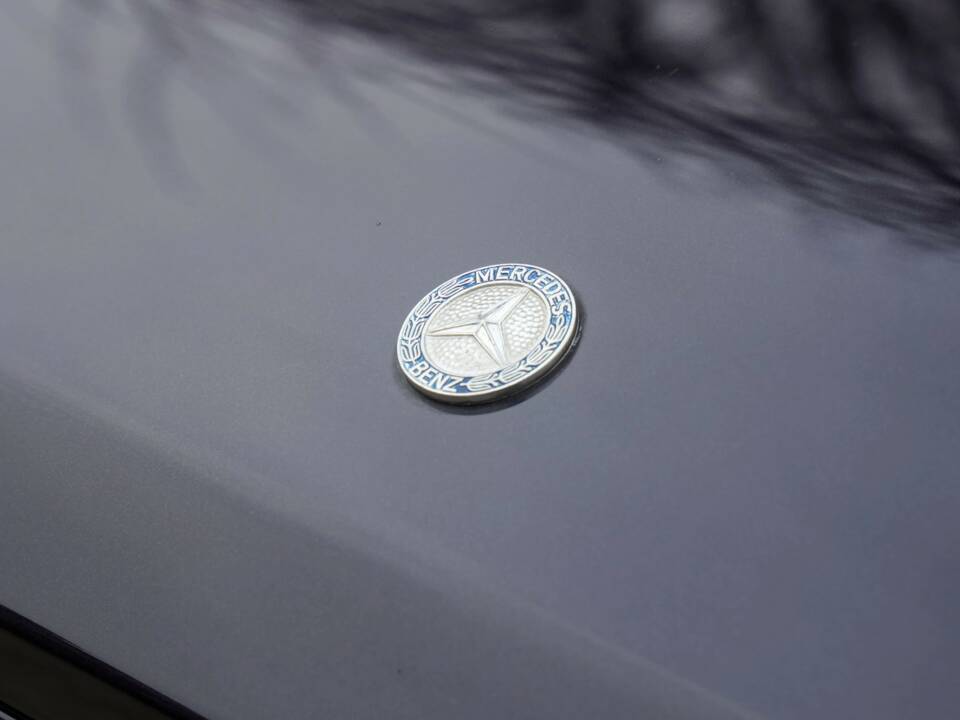 Bild 26/50 von Mercedes-Benz 500 GE (1993)