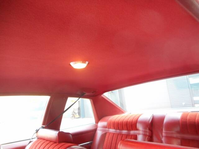 Image 14/22 of Buick Skylark Coupe (1976)