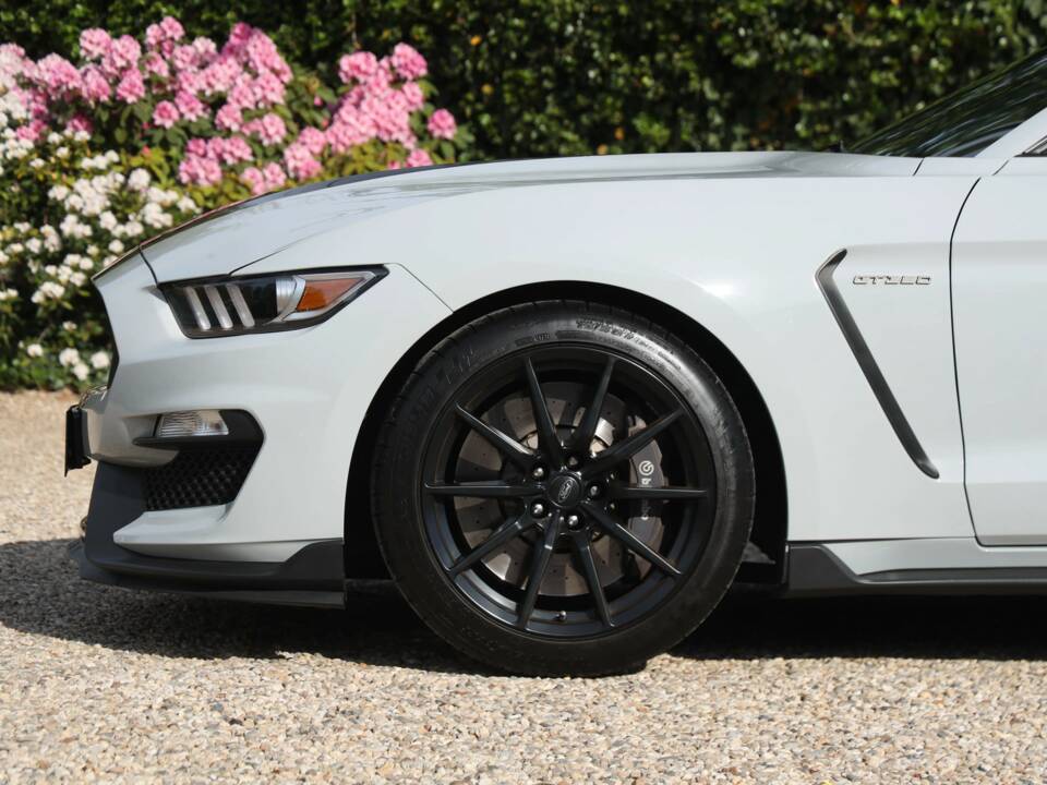 Image 11/50 of Ford Mustang Shelby GT 350 (2017)
