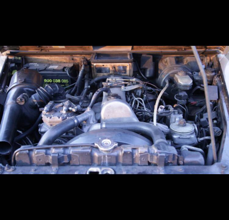 Bild 13/18 von Steyr-Puch 300 GD (lang) (1982)