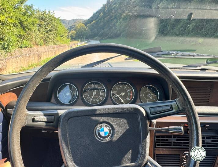 Bild 31/48 von BMW 3,0 CSi (1975)