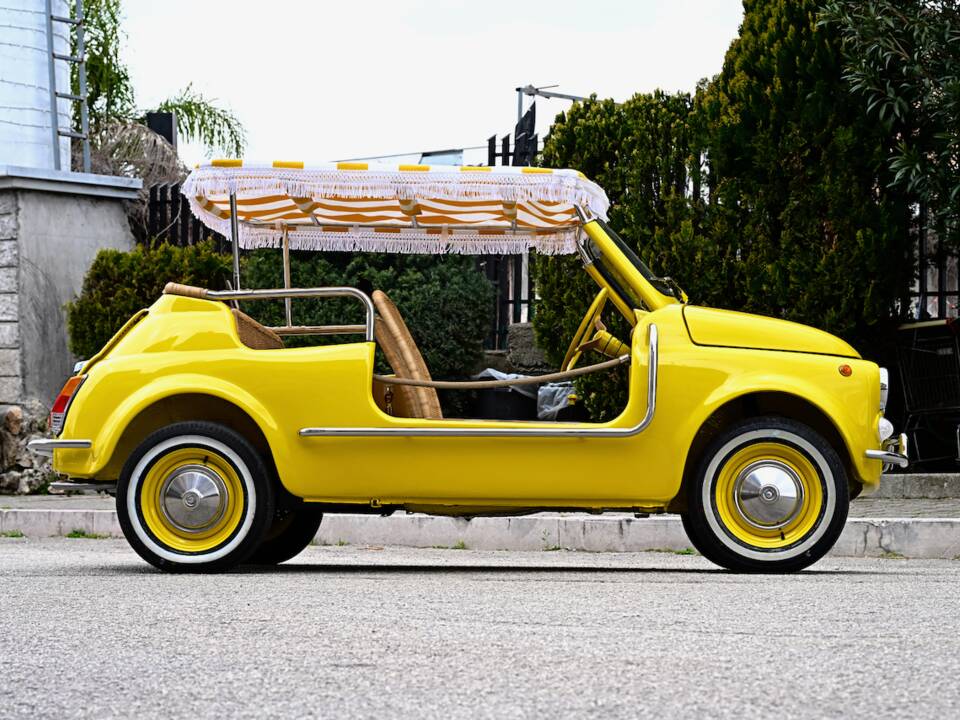 Image 37/45 of FIAT Ghia 500 Jolly (1971)