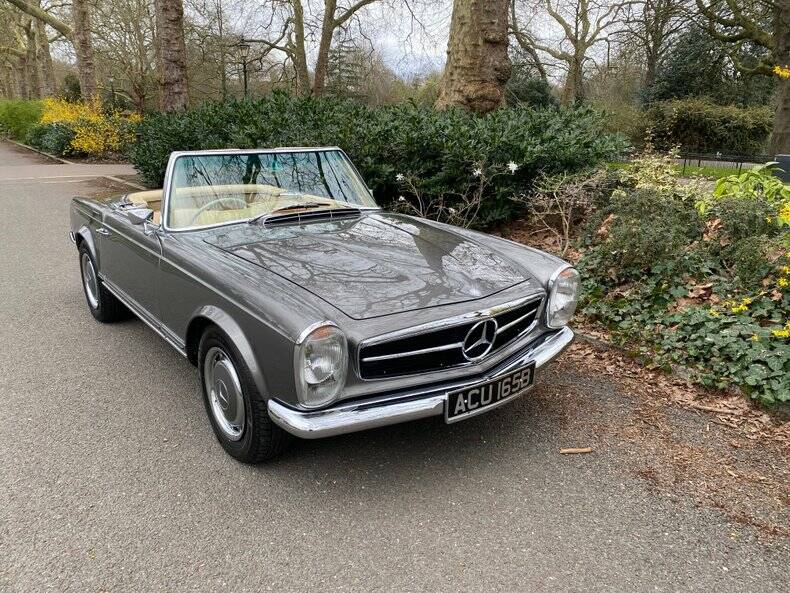 Afbeelding 2/50 van Mercedes-Benz 280 M-SL (1964)
