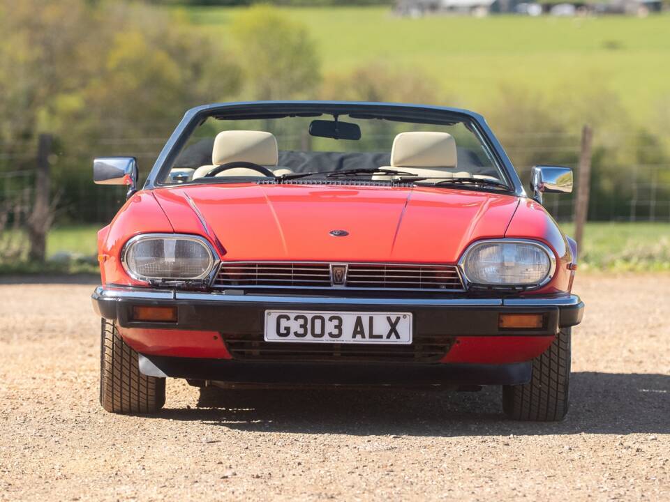 Bild 6/50 von Jaguar XJS 5.3 V12 (1990)