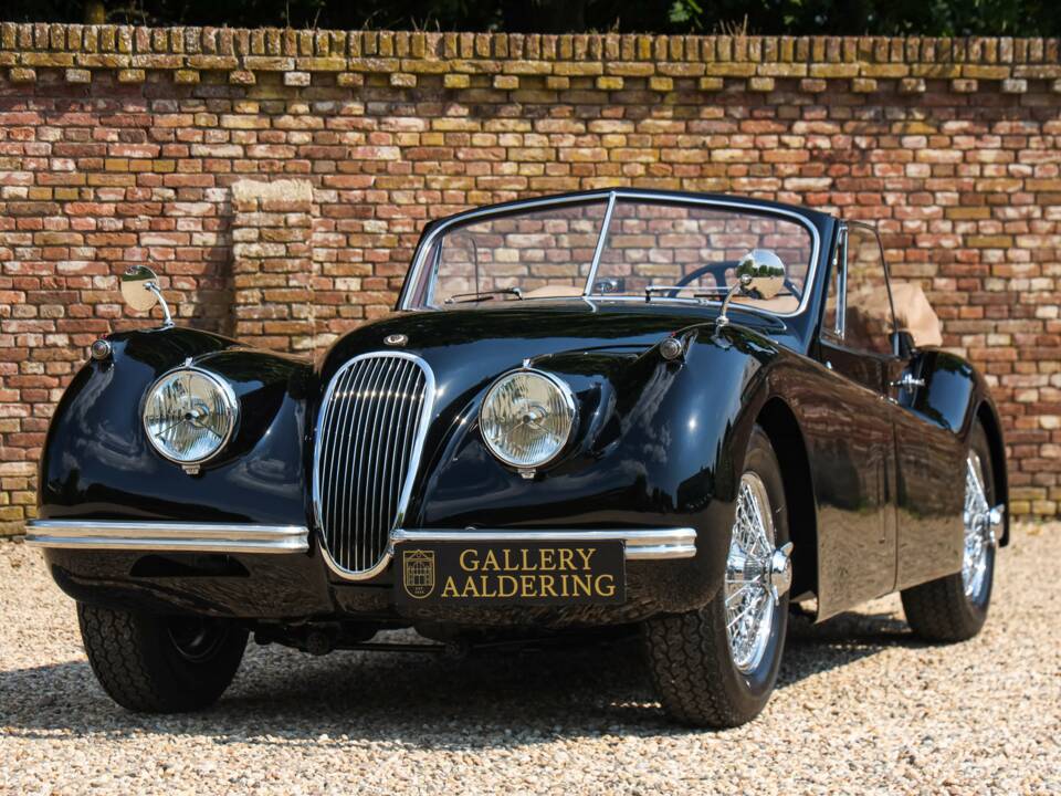 Immagine 19/50 di Jaguar XK 120 DHC (1953)