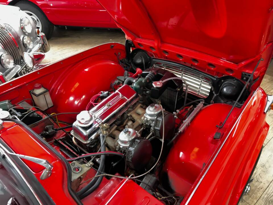 Immagine 15/23 di Triumph TR 4 (1962)