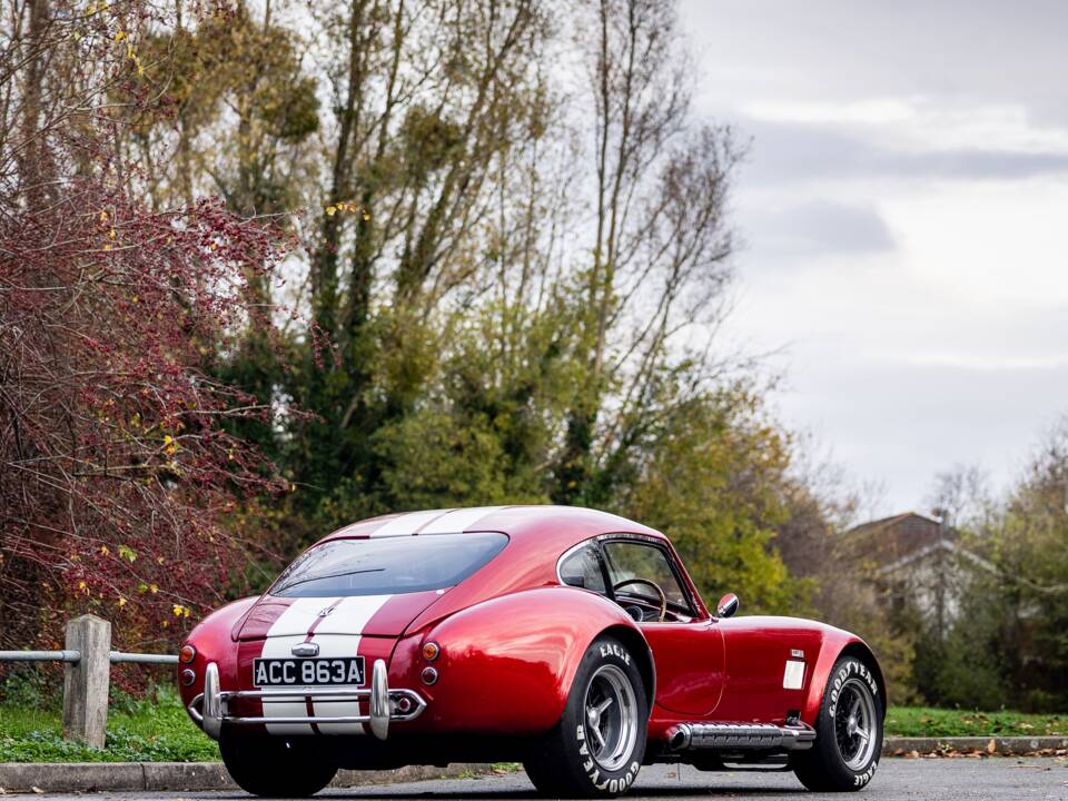 Afbeelding 11/50 van AC Cobra 289 (2000)