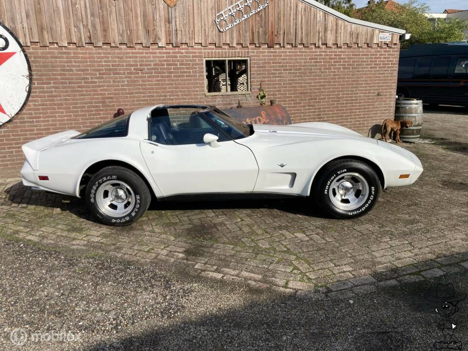Afbeelding 2/50 van Chevrolet Corvette Sting Ray (1979)