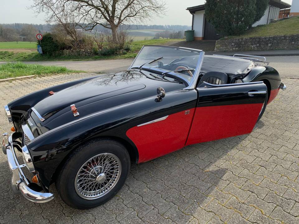 Bild 2/6 von Austin-Healey 3000 Mk II (BN7) (1960)