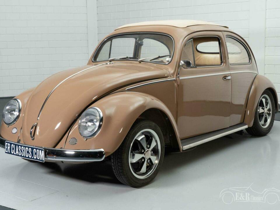 Bild 11/19 von Volkswagen Käfer 1200 Export "Ovali" (1957)
