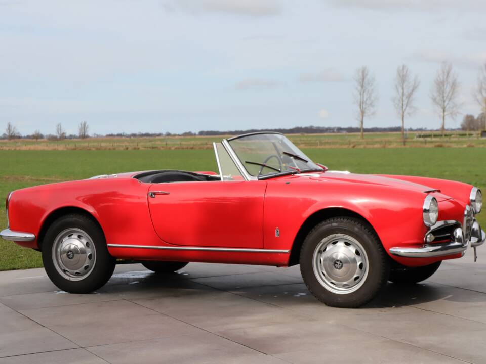 Bild 38/50 von Alfa Romeo Giulia 1600 Spider Veloce (1965)